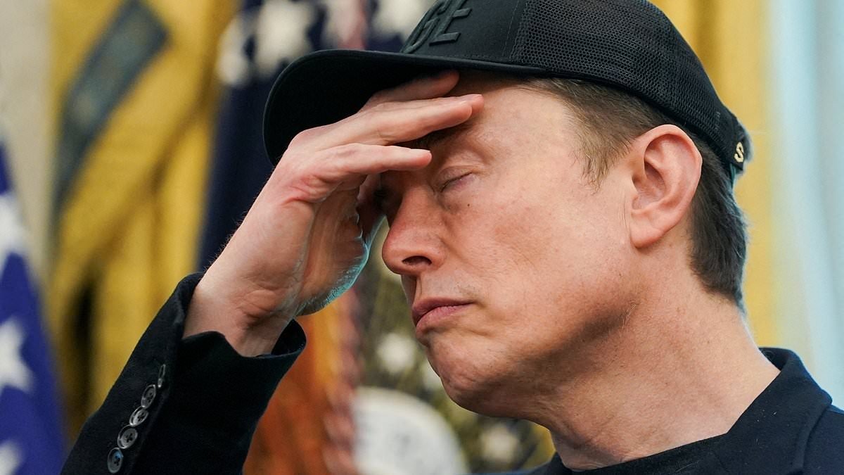 Elon Musk, cel mai controversat personaj din domeniul tehnologiei și managementului social media, face un nou anunț care a atras rapid atenția întregii lumi digitale
