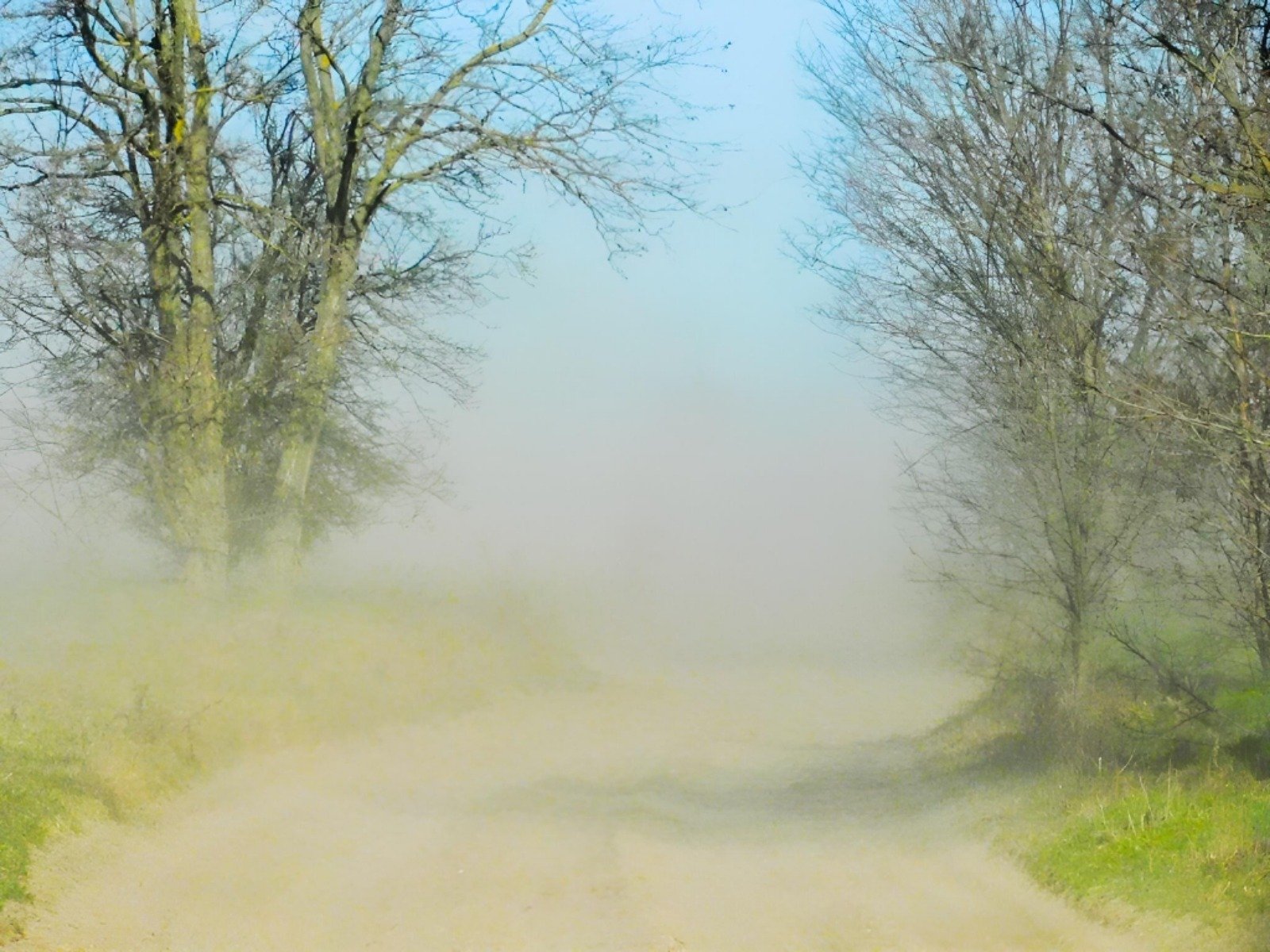 Vântul puternic și rafalele accidentale sunt însoțite de un cod galben de vreme rea în mai multe zone ale țării, avertizează Meteorologia