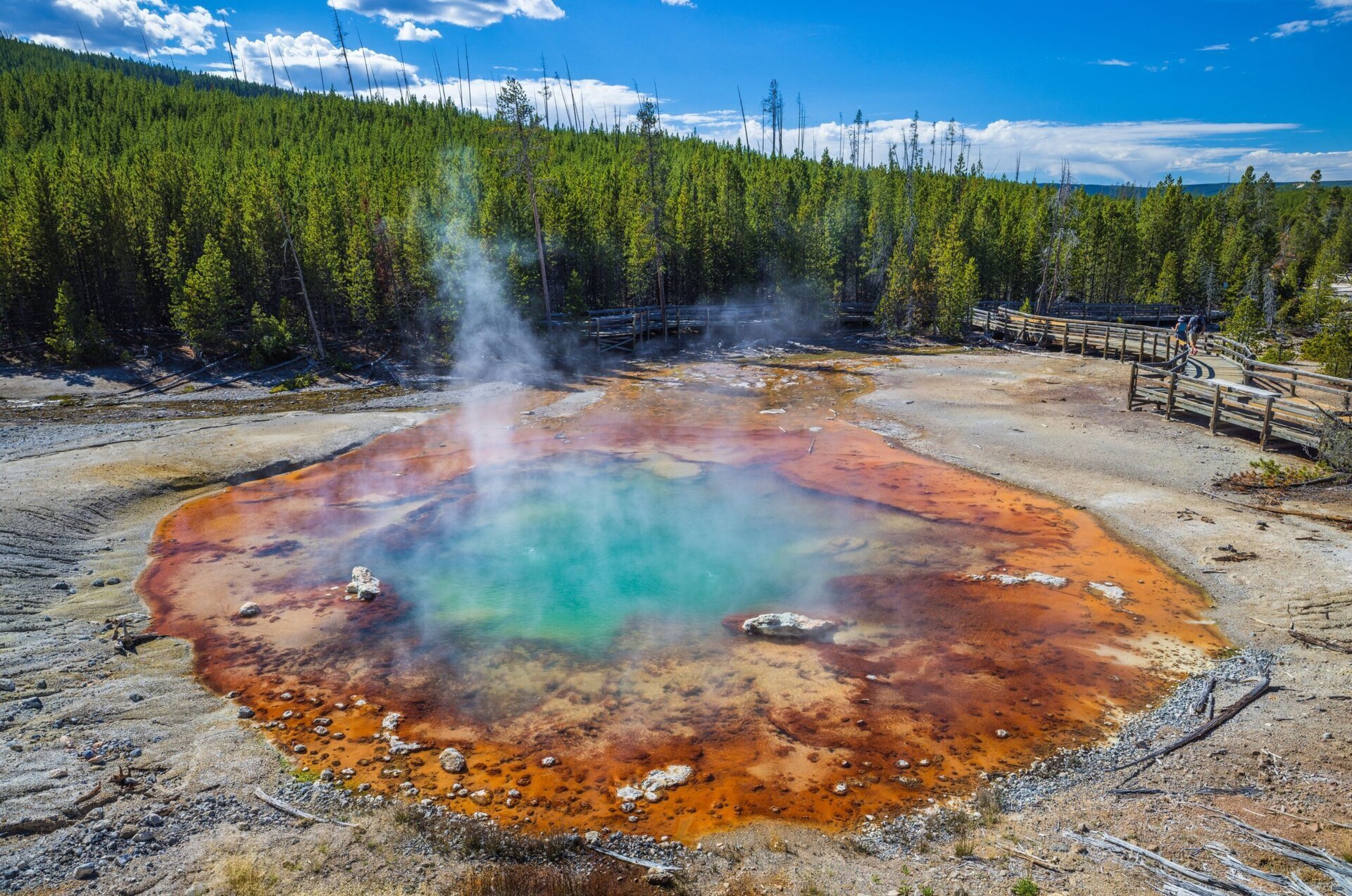 Gheizerul Echinus din Parcul Național Yellowstone, cel mai mare gheizer acid din lume, a intrat din nou în activitate după o perioadă de inactivitate de peste cinci ani, stârnind fascinație atât printre cercetători, cât și printre vizitatori