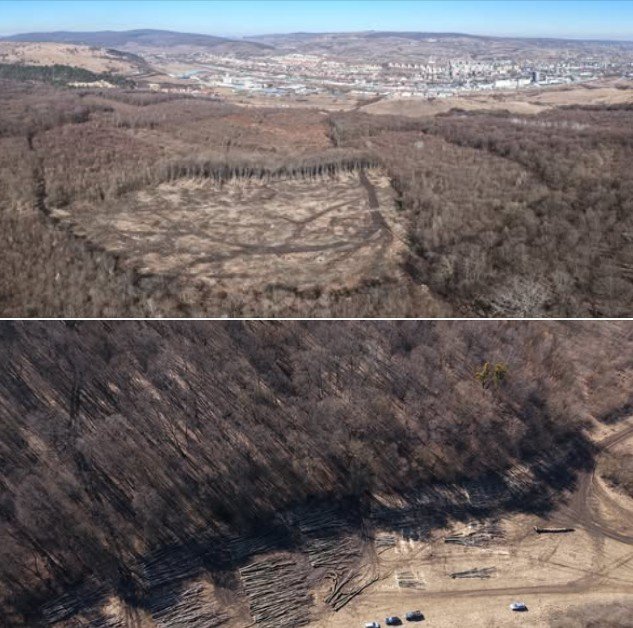 Tăieri masive în Parcul Hoia-Baciu stârnesc reacții vehemente în rândul locuitorilor și ecologilor O zonă emblematică pentru Cluj-Napoca, Pădurea Hoia-Baciu, cunoscută pentru peisajele sale misterioase și pentru biodiversitatea bogată, se află în centrul unui scandal de proporții
