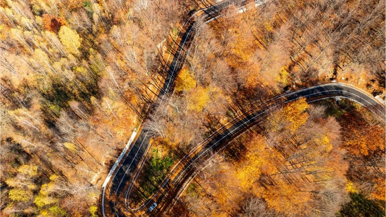 Drumul național DN2L Soveja – Lepșa, o lucrare de infrastructură mult așteptată, a fost finalizată după ani întregi de deteriorare și neglijență