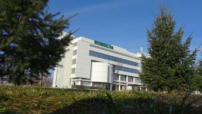 Numărul directorilor din Romsilva s-a înjumățit; direcțiile silvice fără „operatori de xerox”