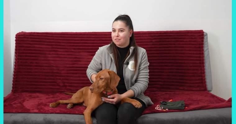 Ce face animalul tău de companie când nu ești acasă? O întrebare comună pentru milioane de români care se întreabă dacă prietenii lor necuvântători trăiesc sau se simt bine în absența stăpânilor