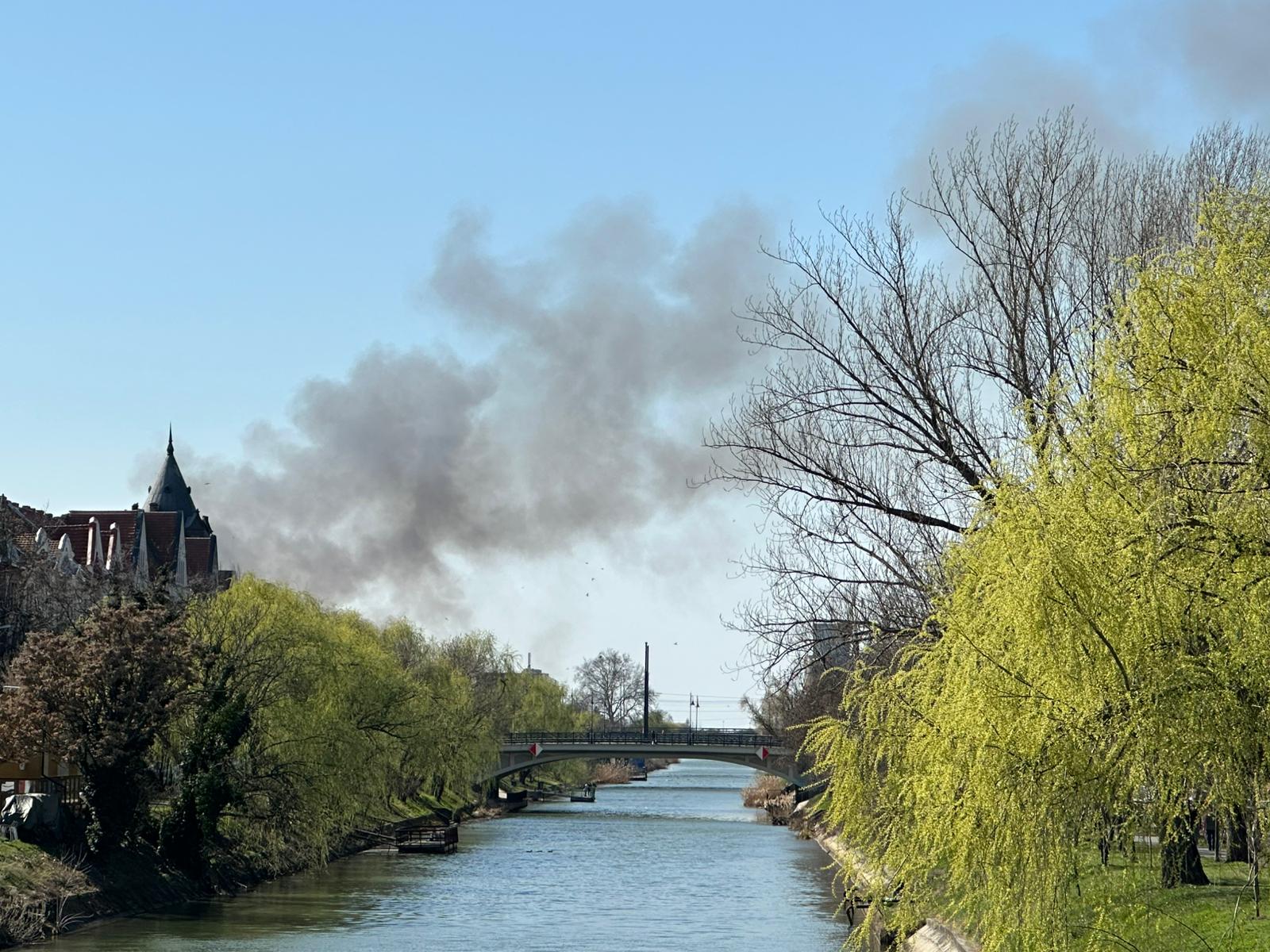 Incendiu în zona Freidorf din Timișoara, intervenție rapidă a pompierilor Un incendiu izbucnit miercuri în zona Freidorf, în apropiere de Liceul Tehnologic Transporturi Auto, a mobilizat prompt autoritățile de intervenție