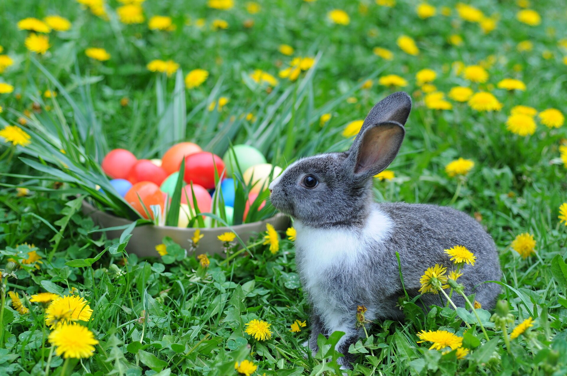 Paștele ortodox și catolic din 2026 cad în zile diferite