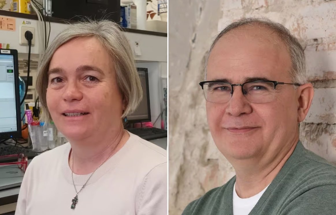 Guvernul academic maghiar premiază cercetătorii de origine maghiară din întreaga lume, iar în acest an, decizia a fost anunțată recent de Comitetul Prezidențial pentru Știința Maghiară