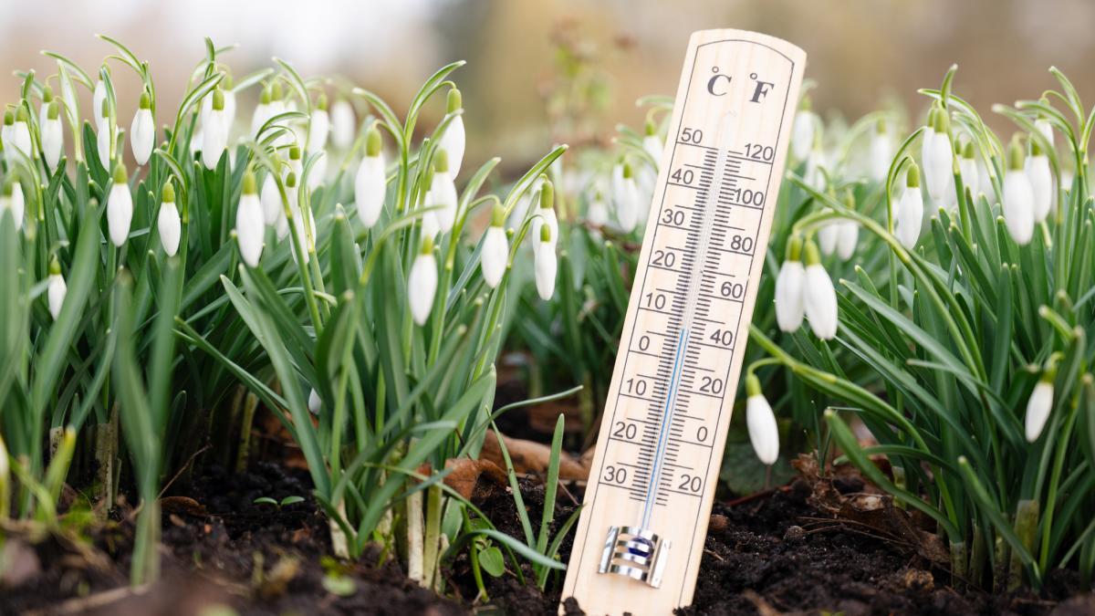 Vreme caldă și cer senin în București, urmând o săptămână cu temperaturi peste medie Meteorologii anunță că, în perioada următoare, Capitala va beneficia de temperaturi peste valorile normale ale acestei perioade