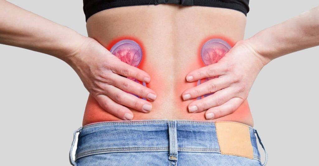 Obiceiurile alimentare și stilul de viață zilnic pot avea consecințe grave asupra sănătății rinichilor, organ vital pentru eliminarea toxinelor și menținerea echilibrului hidro-electrolitic al corpului