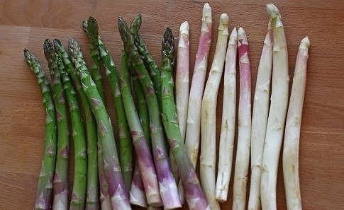 Proprietarii restaurantelor din zona Bassano, la nord de Veneția, contestă timpurietatea introducerii sparanghelului în meniuri O controverse aprinsă se ridică în regiunea Bassano, situată în apropierea Veneției, după ce un număr de 25 de proprietari de restaurante din zonă și-au exprimat nemulțumirea față de practicile din pre sezonul agricol al sparanghelului