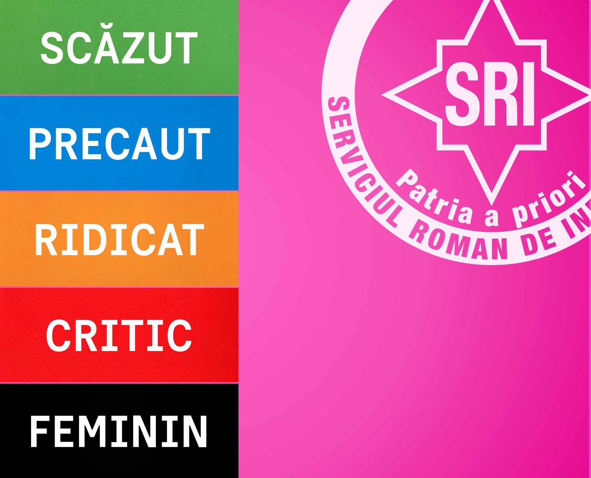 O imagine publicată pe pagina de Facebook a Serviciului Român de Informații (SRI), dedicată zilei de 8 Martie, a stârnit controverse pe internet, devenind rapid virală