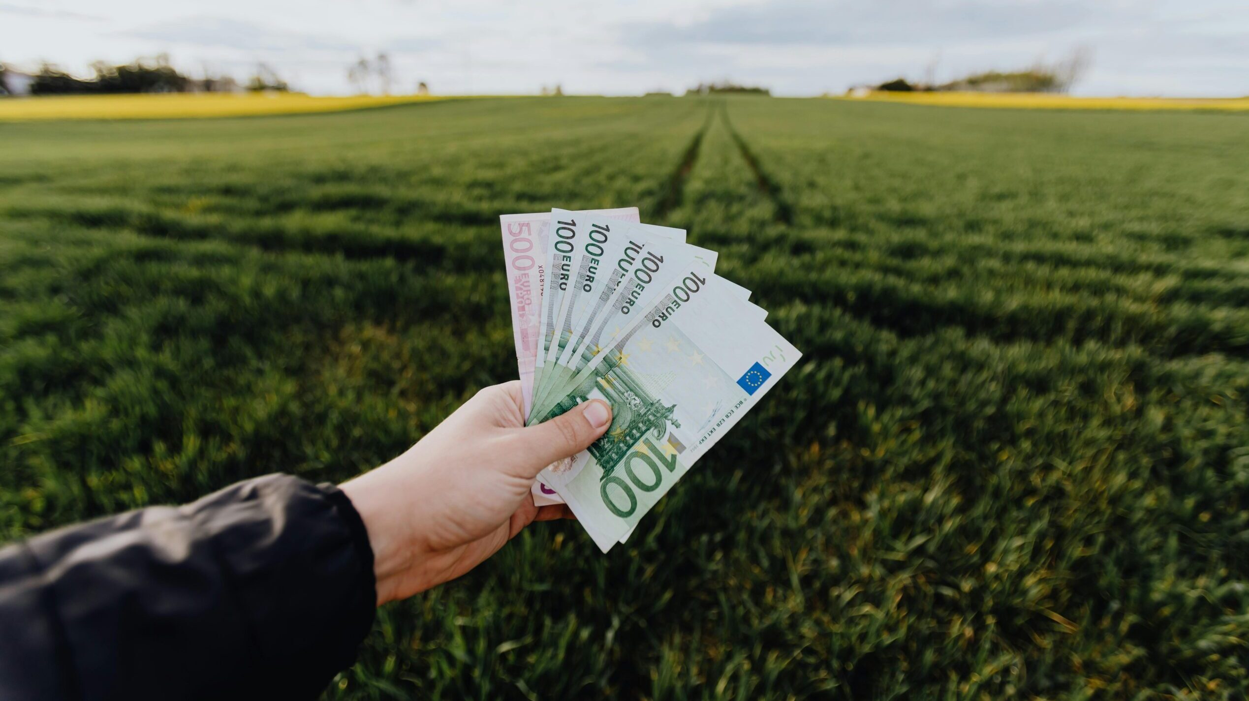 Fermierii români își pot suspina ușurarea după o serie de zile tensionate, odată cu anunțul plății ecoschemei PD-28, o schemă de subvenționare destinată sprijinirii gestionării durabile a terenurilor agricole