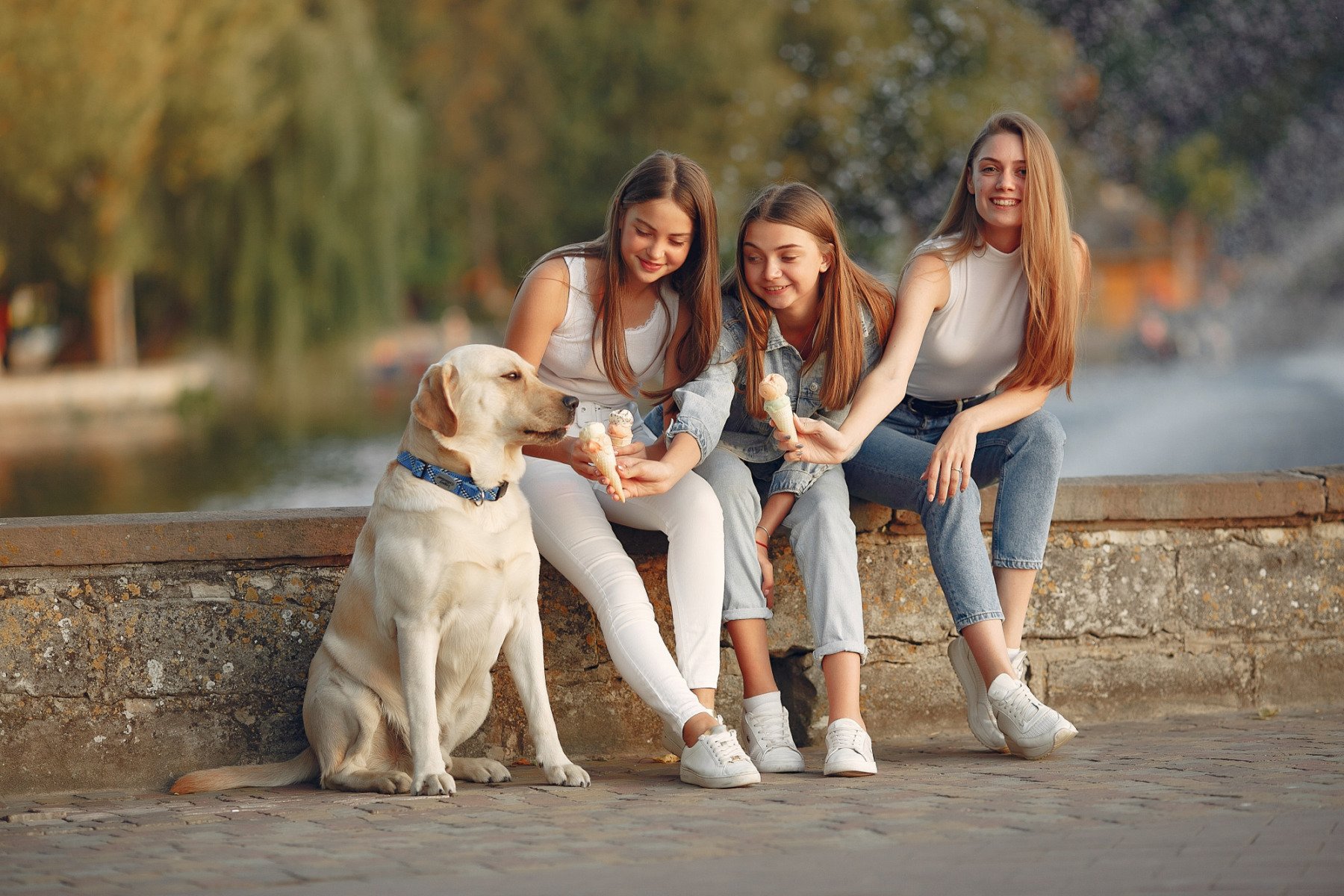 România, o țară unde, conform ultimelor date demografice, populația feminină depășește numeric pe cea masculină, are în evidență o situație surprinzătoare: într-un clasament al județelor cu predominanță a bărbaților, doar trei regiuni se remarcă prin prezența majoritară masculină, printre care se numără și Iașul, un oraș cu o alcătuire demografică în mod tradițional considerată stabilă din punct de vedere al distribuției de sexe