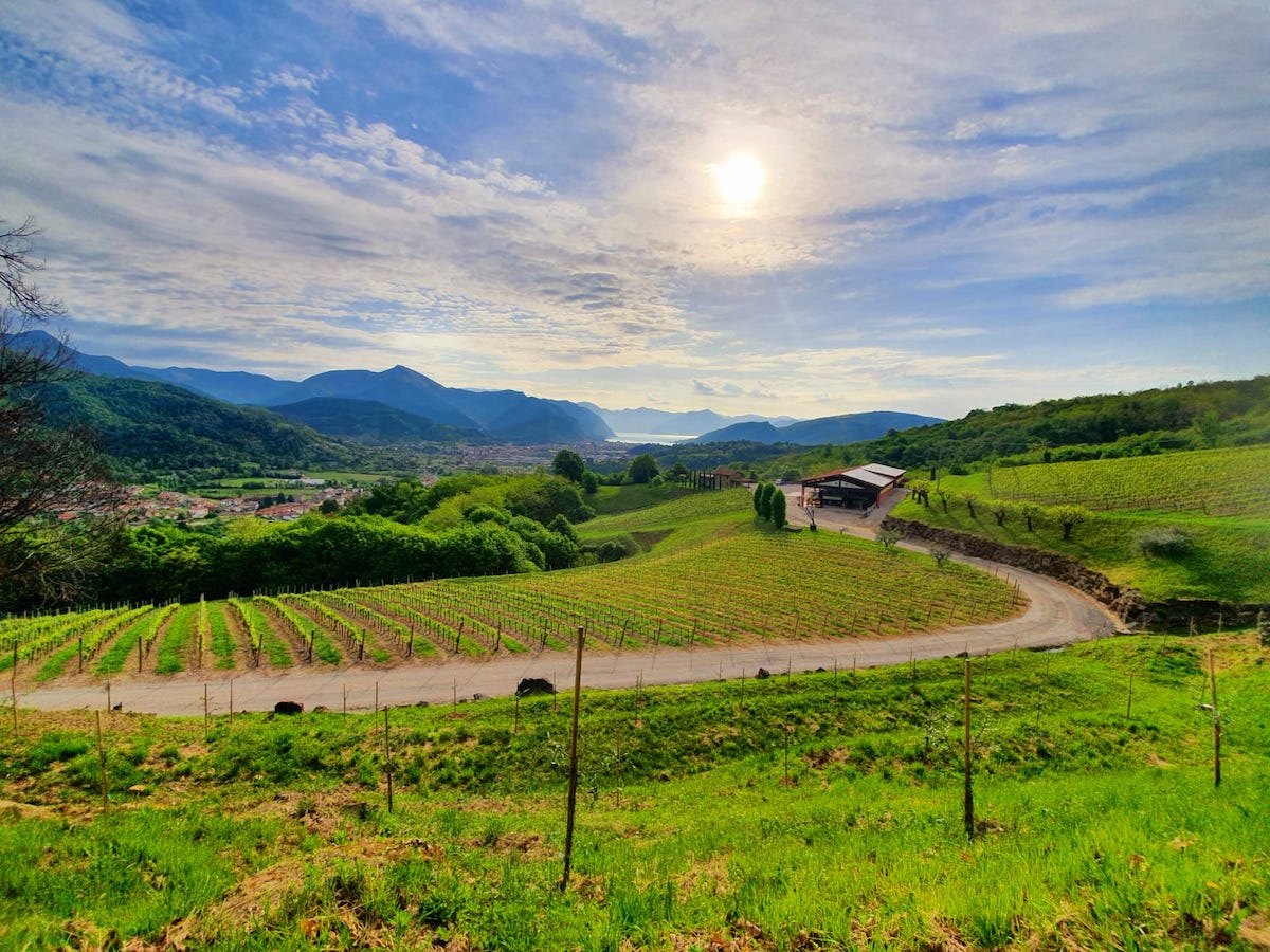 Femeile conduc o pădure de întreprinderi în Toscana: un atu pentru regiunea Siena Țărmul de sud-est al Toscanei, cu peisaje idilice de podgorii și sate tradiționale, se remarcă nu doar prin frumusețea sa naturală, ci și prin dinamismul economic al regiunii Siena