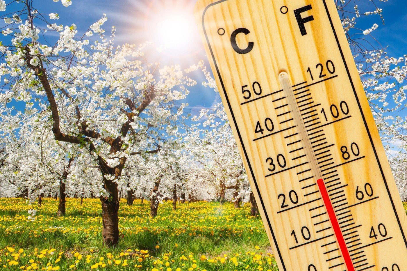 Primăvara începe să își facă simțită prezența în România, cu temperaturi plăcute și o vreme în mare măsură apropiată de normalul perioadei