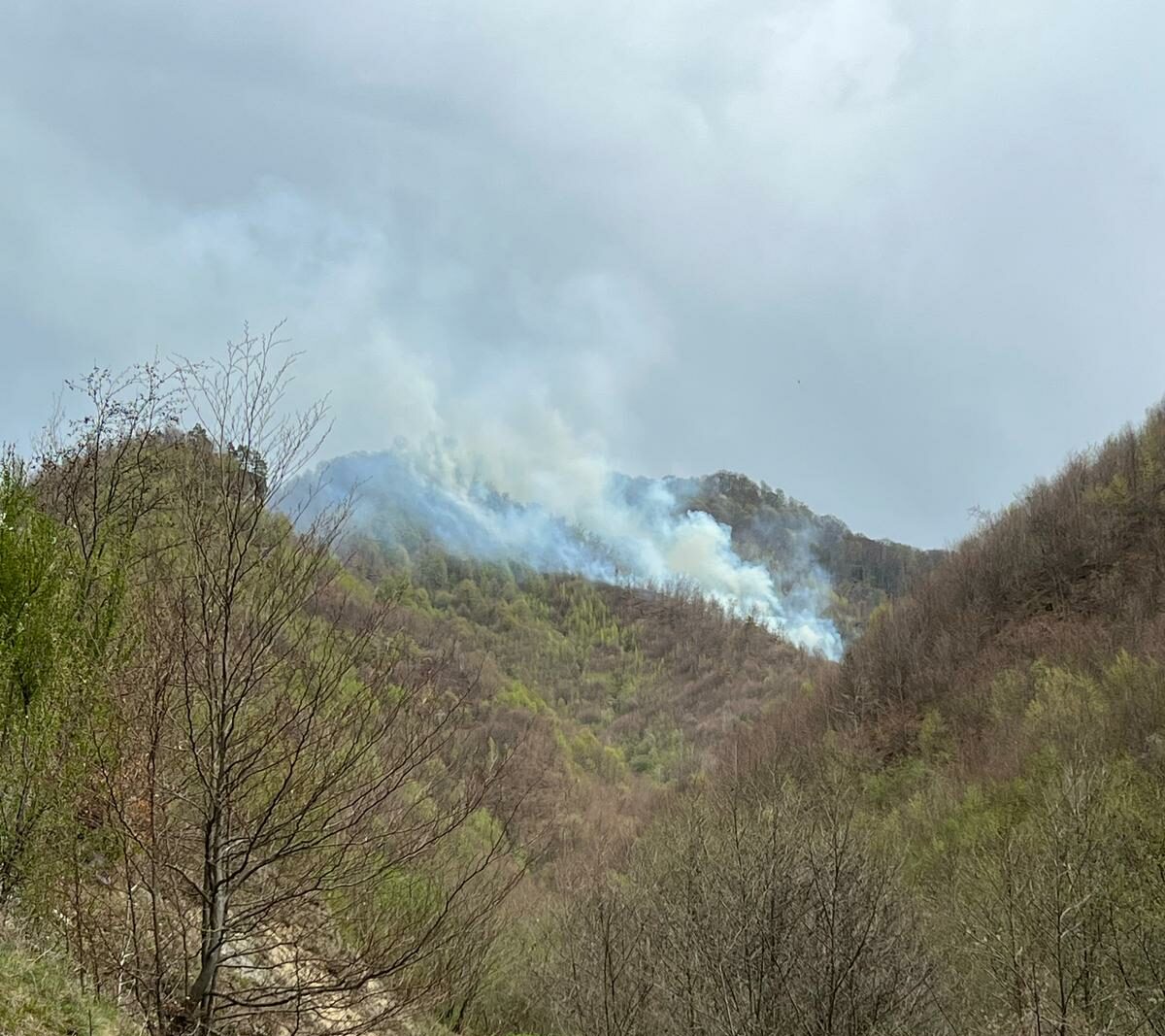 Incendiu de vegetație în zona Lăpușel: intervenție masivă pentru lichidare O situație spectaculoasă a reușit să mobilizeze autoritățile din Maramureș, în timp ce eforturile de localizare și stingere a unui incendiu de vegetație uscată și litieră sunt încă în plină derulare