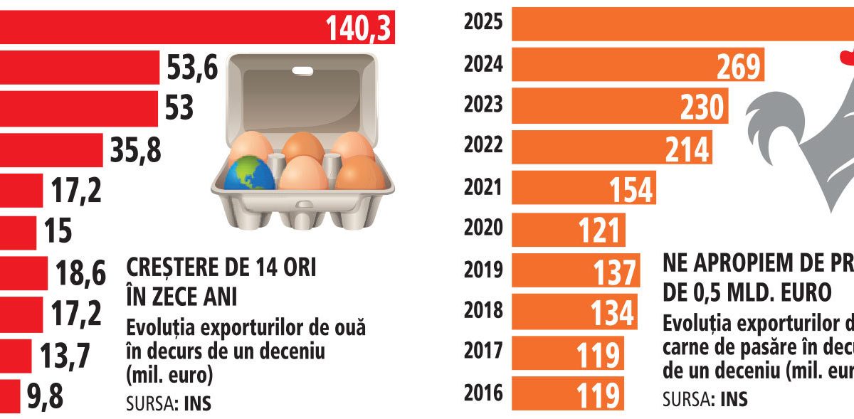 România, campioană la exporturi de carne de pasăre: afaceri de jumătate de miliard de euro