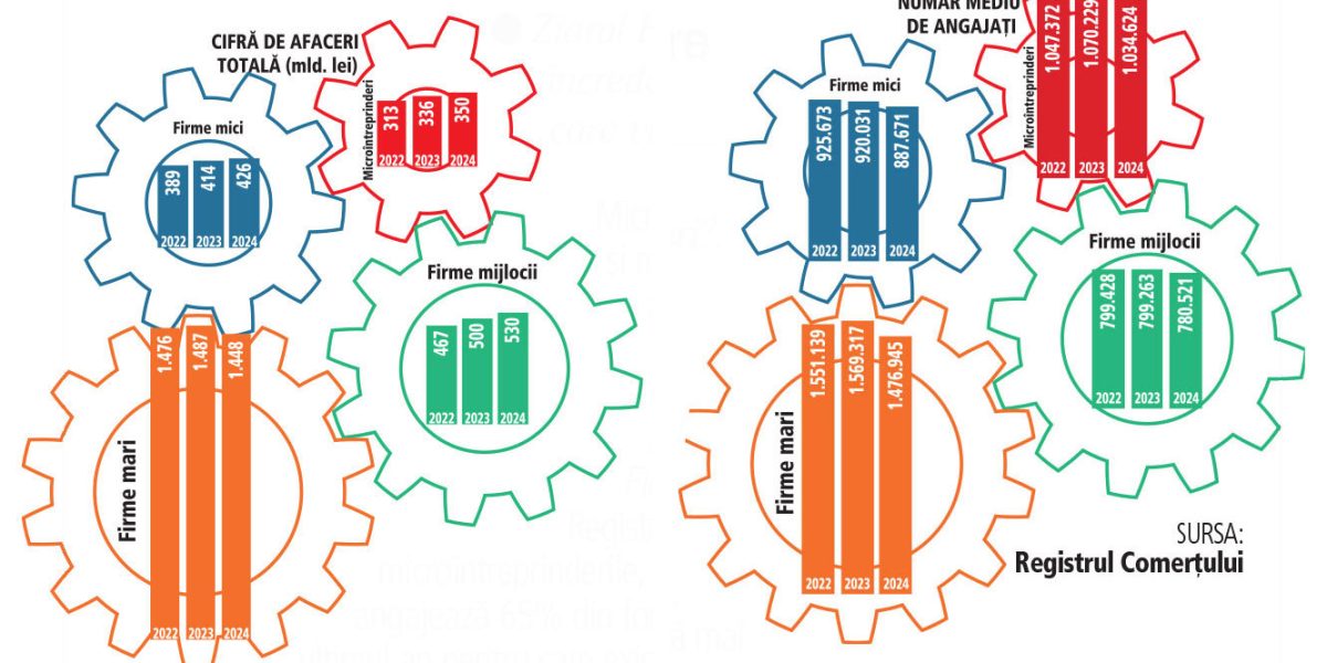 IMM-urile, motorul economiei: 75% din angajați și profituri similare