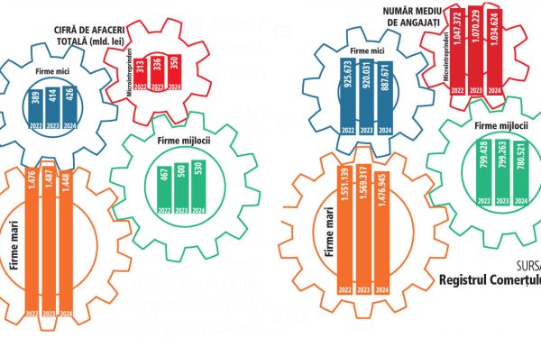 IMM-urile, motorul economiei: 75% din angajați și profituri similare