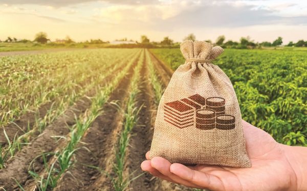 Străinii pun mâna pe subvențiile agricole din România: doi români în top 10