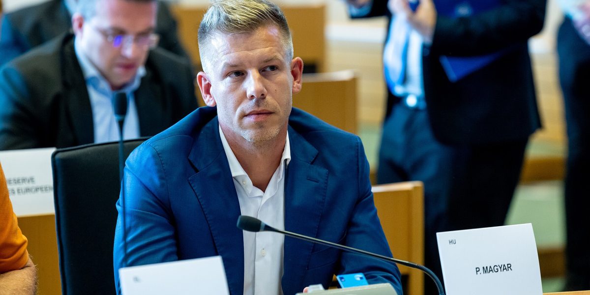 Magyar, tânărul care l-a învins pe Orban: De la afișul din tinerețe la victorie categorică