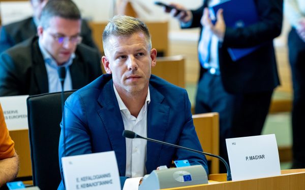 Magyar, tânărul care l-a învins pe Orban: De la afișul din tinerețe la victorie categorică