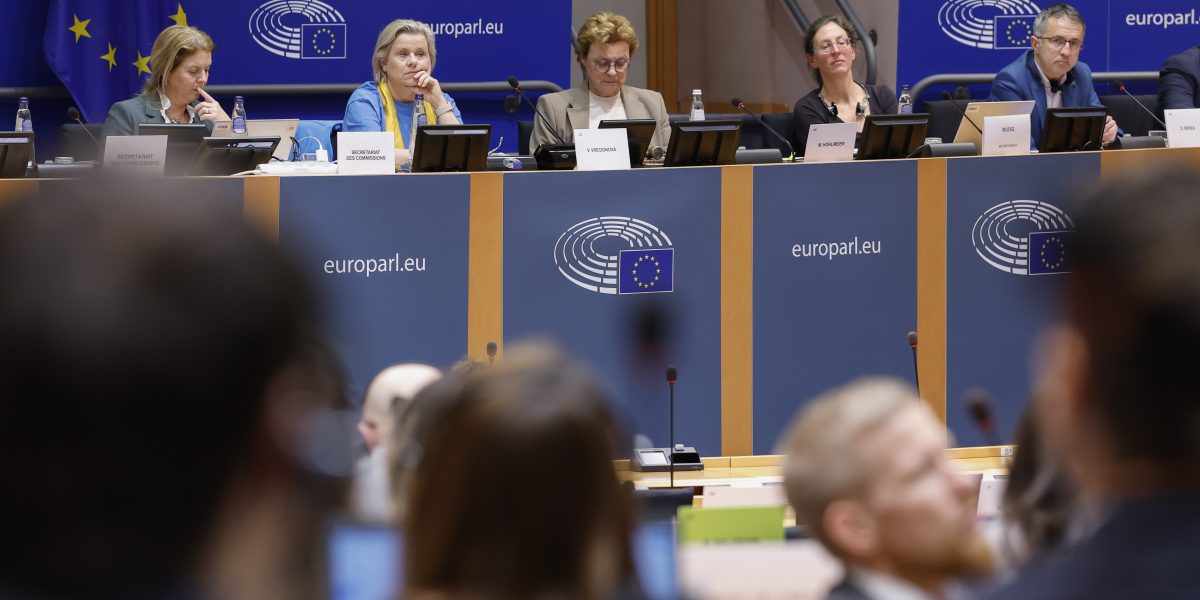 Parlamentul European cere: Buget UE cu 10% mai mare, pentru perioada 2028-2034