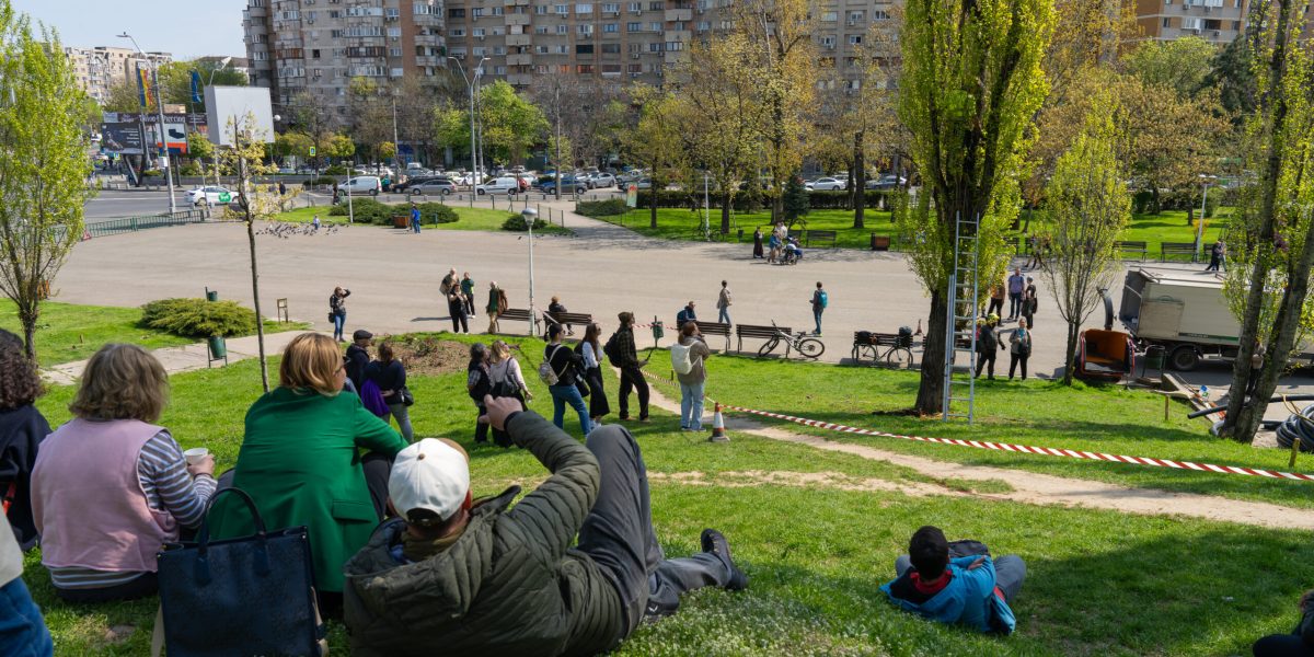 Arborii DIN Parcul Tineretului, în pericol: Cum pot fi salvați plopii