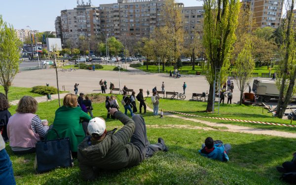 Arborii DIN Parcul Tineretului, în pericol: Cum pot fi salvați plopii