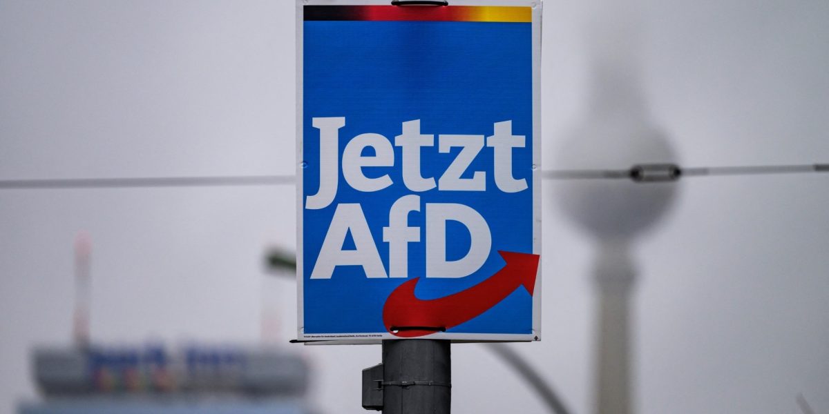 AfD, partidul extremist, conduce în Germania Un nou sondaj arată prăbușirea guvernării