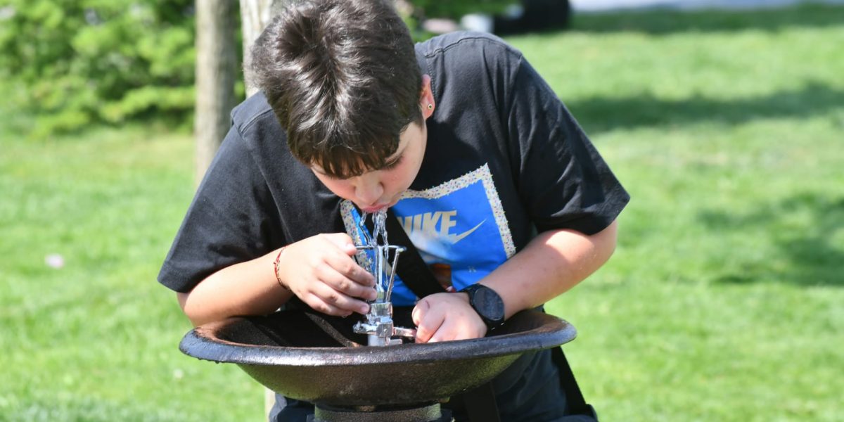 O firmă fantomă, cu un singur angajat, a primit zeci de mii de euro de la Sectorul 6