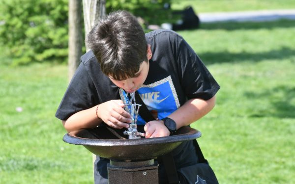 O firmă fantomă, cu un singur angajat, a primit zeci de mii de euro de la Sectorul 6