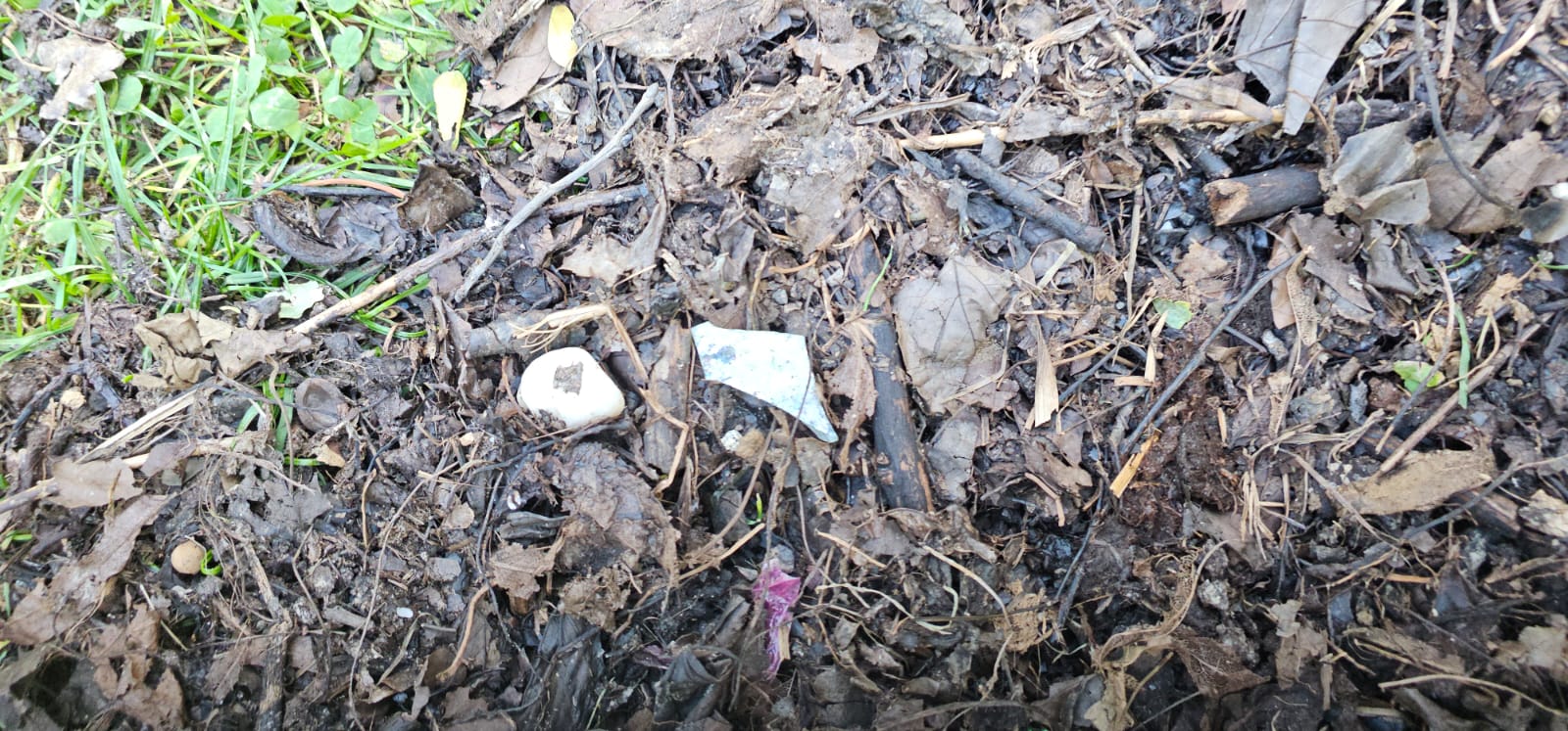 Compost gratuit cu deșeuri, distribuit de primăria Sectorului 3