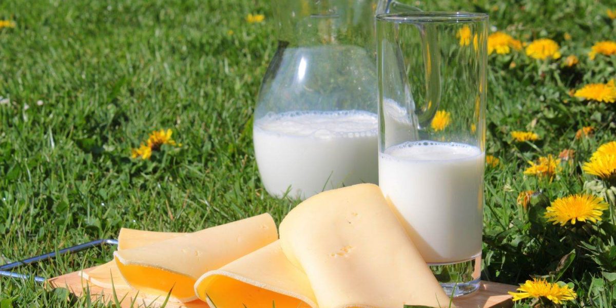 Bloomberg: China deschide porțile pentru importurile de lactate din România