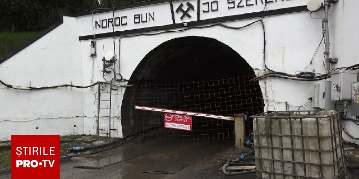 Castorii, cauza dezastrului de la Praid: Un deputat USR face dezvăluiri în Comisie