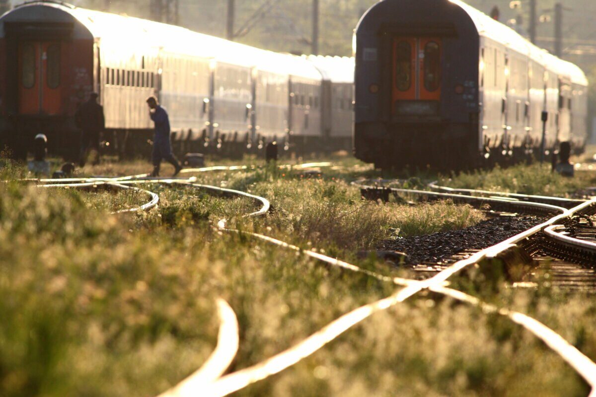 Accident TERIBIL pe ruta București-Constanța: Tren ucide o femeie