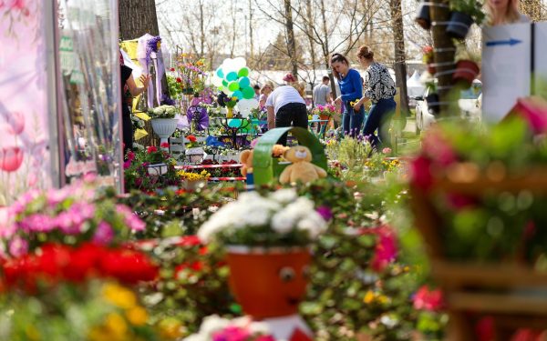 Simfonia Lalelelor, spectacol floral la Pitești: Floriști din toată România