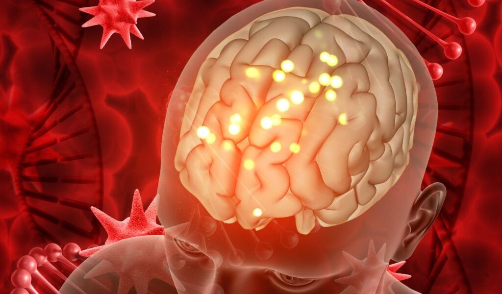 Parazitul cerebral invizibil: Tratamentele actuale, ineficiente în România