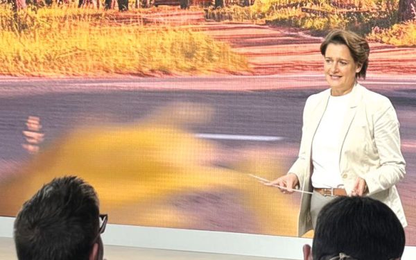 România, blocată în crize, ratează investiții. Dacia laudă Turcia, nu Mioveniul; Ungaria, cu fabrici BMW