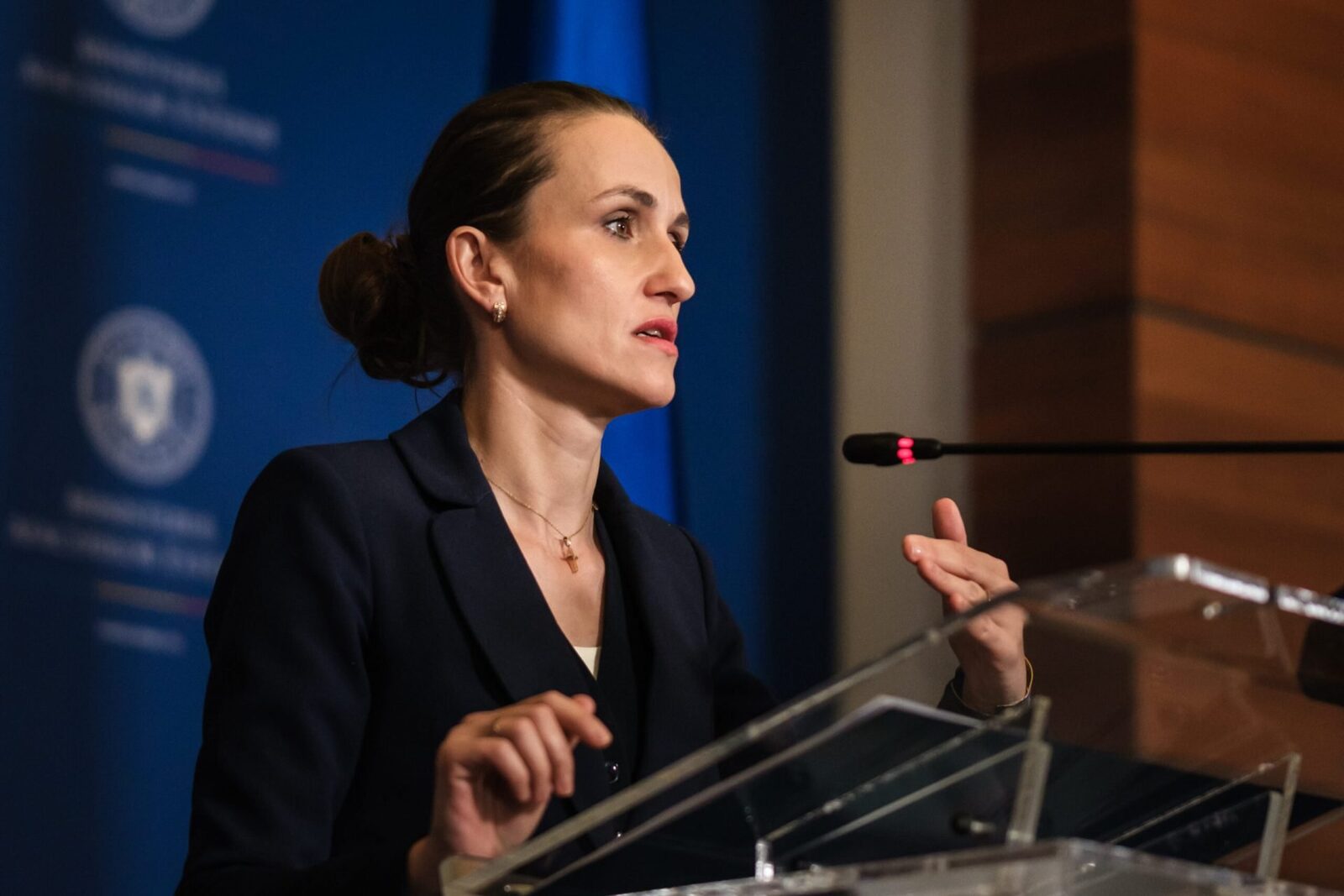 Oana ȚOIU, discuție cu viitoarea șefă a diplomației ungare: „Mobilizare exemplară”