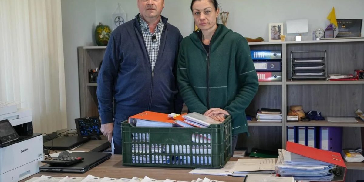 Birocrația ucide o fermă: Justiția sfidată, familii distruse în România