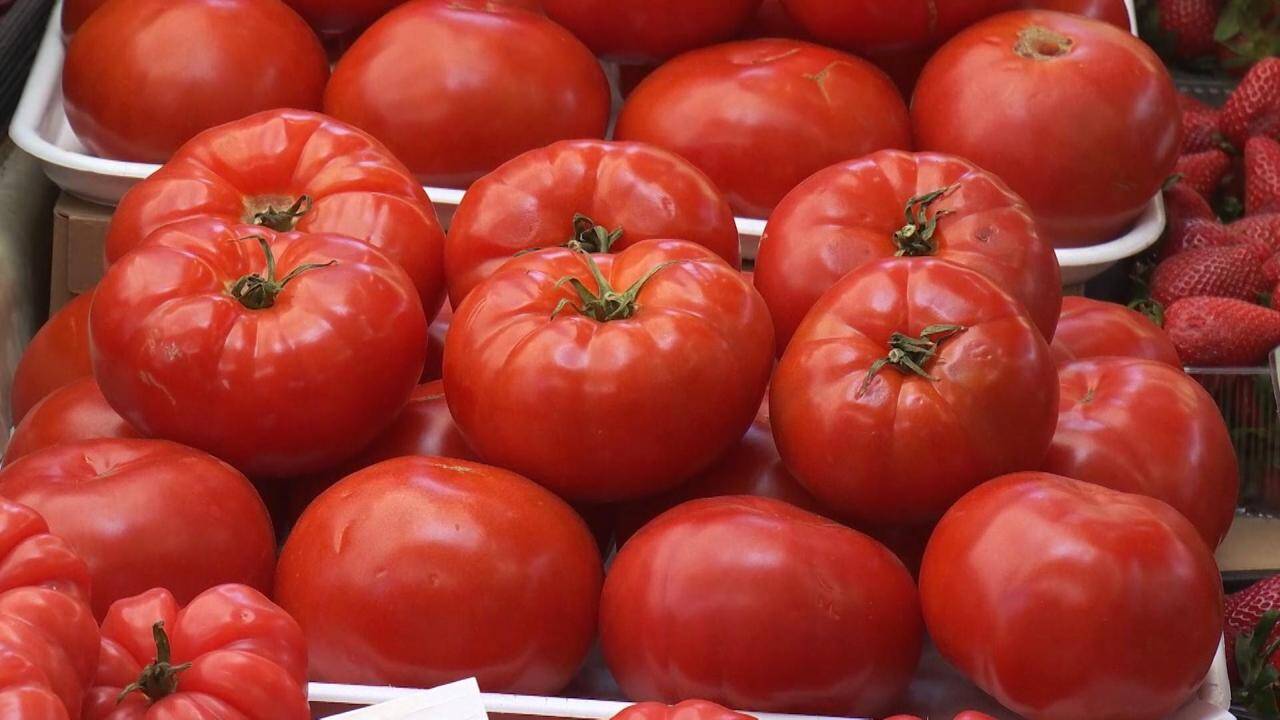 Cât costă roşiile româneşti în pieţe, în aprilie 2026 Prețurile roşiilor româneşti din pieţe s-au menținut într-un interval destul de larg în luna aprilie 2026, stârnind reacții diverse din partea cumpărătorilor