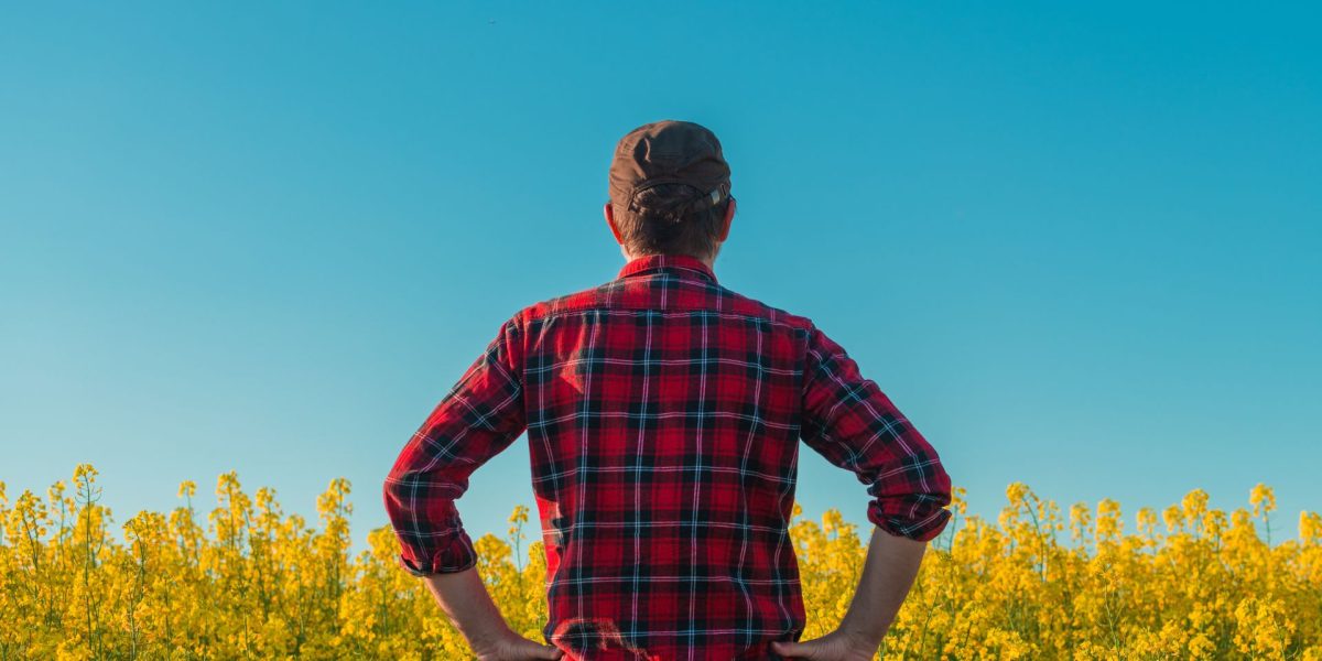 O explozie de ură: Manosphere, pe agenda politicienilor britanici