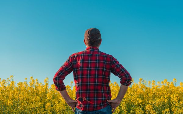 O explozie de ură: Manosphere, pe agenda politicienilor britanici