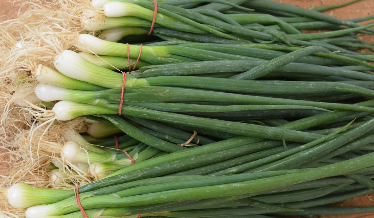 Cum să crești ceapă verde în pahar fără pământ sau efort