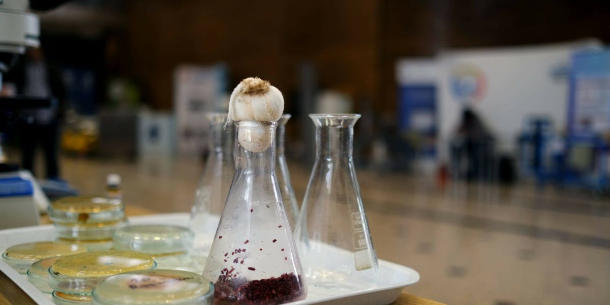 Mâncarea viitorului: Biofest 2026, la Poli București, despre provocările globale