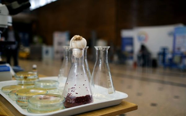 Mâncarea viitorului: Biofest 2026, la Poli București, despre provocările globale