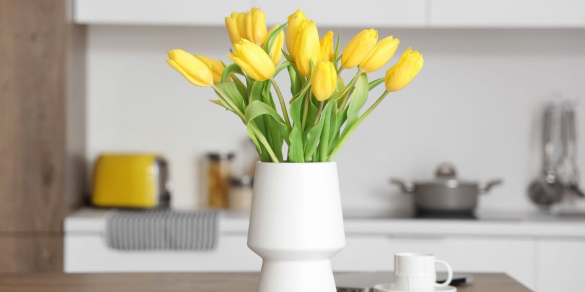 Descoperă trucul neștiut: cuie în ghiveci. Vezi efectul rapid!