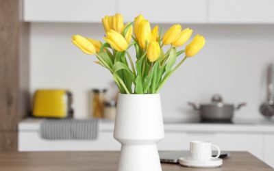 Descoperă trucul neștiut: cuie în ghiveci. Vezi efectul rapid!