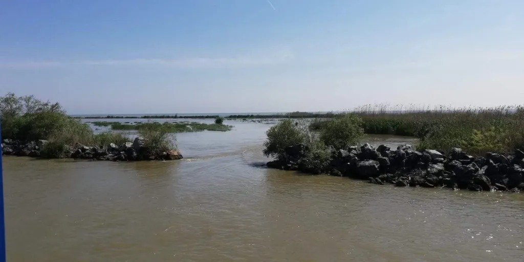 Din 9 aprilie 2026, va intra în vigoare prohibiția pentru pescuitul în habitatele acvatice naturale din Delta Dunării