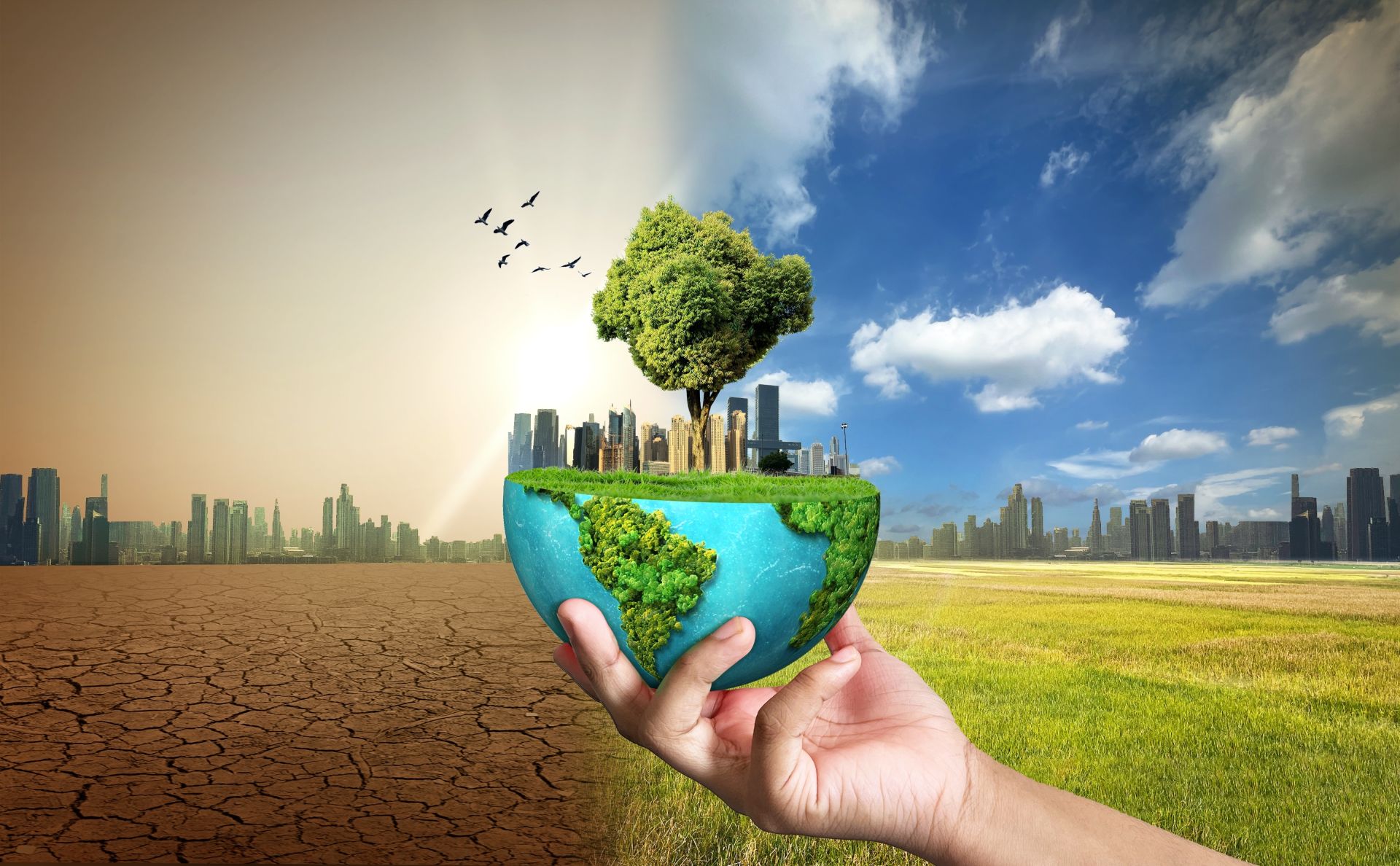 Un nou studiu arată că efectele schimbărilor climatice pot influența evoluția animalelor de-a lungul mai multor generații